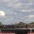 13_50-mast.jpg
