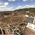 13_50-nest.jpg