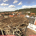 13_55-nest.jpg
