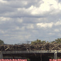 14_00-mast.jpg