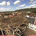 14_00-nest.jpg