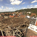 14_05-nest.jpg
