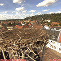 14_10-nest.jpg