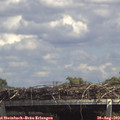 14_15-mast.jpg