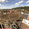 14_15-nest.jpg