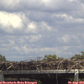 14_20-mast.jpg