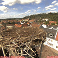14_20-nest.jpg