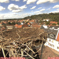 14_25-nest.jpg