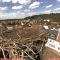14_30-nest.jpg