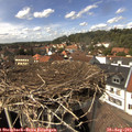 14_40-nest.jpg
