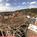 14_45-nest.jpg