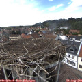 14_55-nest.jpg