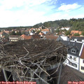 15_00-nest.jpg