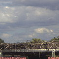 15_05-mast.jpg