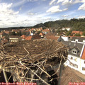 15_05-nest.jpg