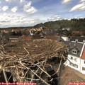 15_10-nest.jpg