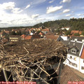 15_15-nest.jpg