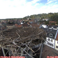15_20-nest.jpg
