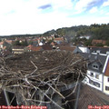 15_25-nest.jpg