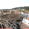 15_30-nest.jpg