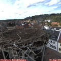 15_35-nest.jpg