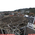 15_40-nest.jpg
