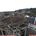 15_50-nest.jpg