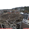 15_55-nest.jpg