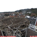 16_00-nest.jpg