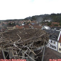 16_05-nest.jpg