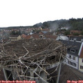 16_10-nest.jpg