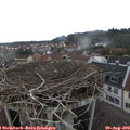 16_15-nest.jpg