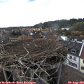 16_20-nest.jpg