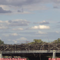 16_25-mast.jpg