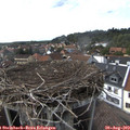 16_25-nest.jpg