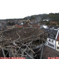 16_30-nest.jpg