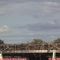 16_35-mast.jpg