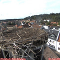 16_35-nest.jpg