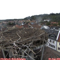 16_40-nest.jpg