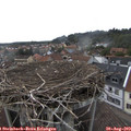 16_45-nest.jpg