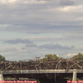 16_50-mast.jpg