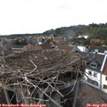 16_50-nest.jpg