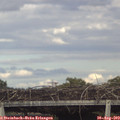 16_55-mast.jpg