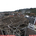 16_55-nest.jpg
