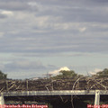 17_00-mast.jpg