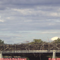 17_05-mast.jpg