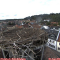 17_05-nest.jpg