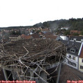 17_10-nest.jpg