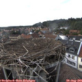 17_15-nest.jpg