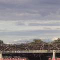 17_20-mast.jpg
